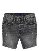 Kobedge Shorts M.grey 7675 Dnm Kids Only Black