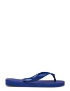 Hav. Top Havaianas Blue