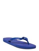 Hav. Top Havaianas Blue