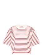 Cropped Tee House Of Dagmar Red