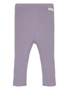 Leggings Pointelle Fixoni Purple