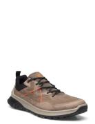 Ult-Trn M ECCO Brown