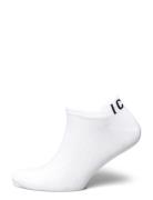 Socks DSquared2 White