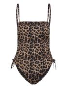 Bondi Swimsuit SUI AVA Brown