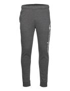 Rib Cuff Pants Champion Grey