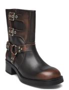 Becase Boot Steve Madden Brown