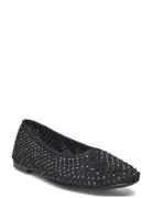 Marli Ballerinas Steve Madden Black