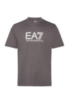 T-Shirt EA7 Grey