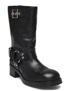 Blessing Boot Steve Madden Black