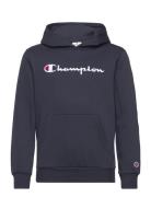 Hooded Sweatshirt Champion Navy