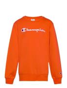 Crewneck Sweatshirt Champion Orange