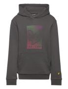 Dotted Eagle Graphic Hoodie Lyle & Scott Grey