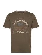 Tee Blend Brown