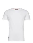 Essential Logo Emb Tee Superdry White