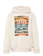 Lvb Landscape Box Hoodie / Lvb Landscape Box Hoodie Levi's Cream