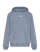 Lvb Lived-In Hoodie / Lvb Lived-In Hoodie Levi's Blue