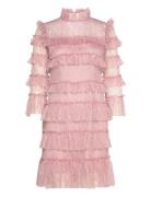 Carmine Frill Mini Lace Dress Malina Pink