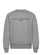 Tommy Logo Sweatshirt Tommy Hilfiger Grey