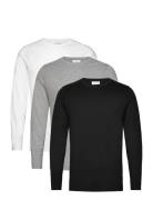 3Pk Basic Tee L/S Lindbergh Black