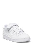 Forum Low J Adidas Originals White