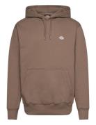 Summerdale Hoodie Dickies Brown