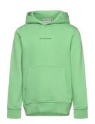 Printed Hoody Tom Tailor Green