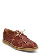 Shoes - Flat - With Lace ANGULUS Brown