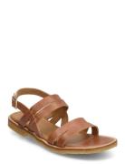 Sandals - Flat - Open Toe - Op ANGULUS Brown