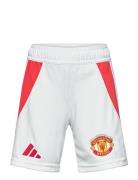 Manchester United Fc H Sho Y Adidas Performance White