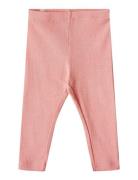 Rib Leggings Maddy Wheat Pink