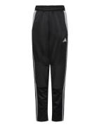 Tiro24 Winpty Adidas Performance Black