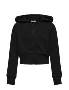 Kogbella Life L/S Zip Hood Short Ub Swt Kids Only Black