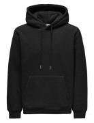 Onsemilio Reg Teddy Hoodie Sweat Vd ONLY & SONS Black