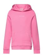 Logo Hoodie Tom Tailor Pink