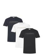 3 Pack Cph Tee S/S Lindbergh Patterned