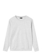 Nlnnizu Ls Bru O-Neck Sweat Noos LMTD Grey