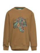 Tnlazaron Sweatshirt The New Brown