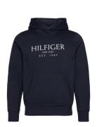 Big Hilfiger Hoody Tommy Hilfiger Navy