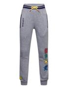 Pantalon Harry Potter Grey