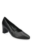 Pumps Gabor Black