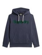 Classic Core Logo Hoodie Superdry Navy