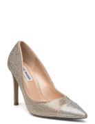 Evelyn-Cr Pump Steve Madden Silver