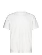 Hco. Guys Knits Hollister White