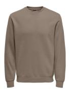 Onsceres Crew Neck Noos ONLY & SONS Brown