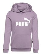 Ess Logo Hoodie Fl G PUMA Purple