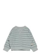 Sweat Shirt Line Petit Piao Blue