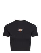 Maple Valley Tee Dickies Black