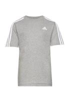 U 3S Tee Adidas Sportswear White