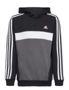 J 3S Tib Fl Hd Adidas Sportswear Black