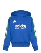 J Np Hoodie Adidas Sportswear Blue